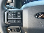 2025 F-150 Thumbnail 17