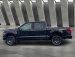 2024 F-150 Thumbnail 28