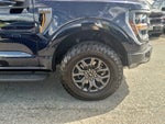 2025 F-150 Thumbnail 10
