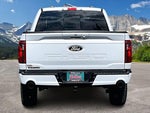 2025 F-150 Thumbnail 4