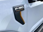 2025 F-150 Thumbnail 8
