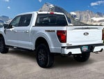 2025 F-150 Thumbnail 13