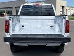 2025 F-150 Thumbnail 18