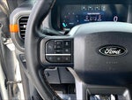 2025 F-150 Thumbnail 19