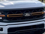 2025 F-150 Thumbnail 29
