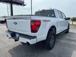 2025 F-150 Thumbnail 3
