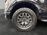 2026 F-150 Thumbnail 5