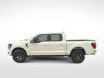 2024 F-150 Thumbnail 5