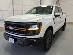 2025 F-150 Thumbnail 7
