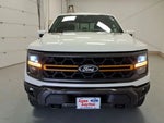 2025 F-150 Thumbnail 8