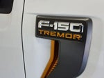 2025 F-150 Thumbnail 10