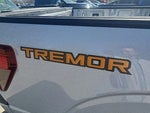 2025 F-150 Thumbnail 13