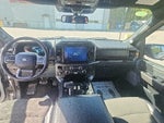 2025 F-150 Thumbnail 16