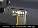 2025 F-150 Thumbnail 19