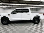 2025 F-150 Thumbnail 15