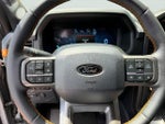 2025 F-150 Thumbnail 18