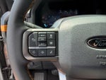 2025 F-150 Thumbnail 19