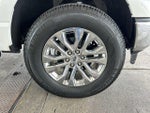 2024 F-150 Thumbnail 18