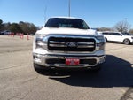 2024 F-150 Thumbnail 3