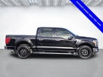 2024 F-150 Thumbnail 2