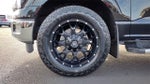 2024 F-150 Thumbnail 10