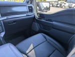 2024 F-150 Thumbnail 20