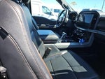 2024 F-150 Thumbnail 10