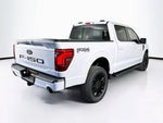 2025 F-150 Thumbnail 24