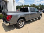 2025 F-150 Thumbnail 8