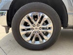 2025 F-150 Thumbnail 10