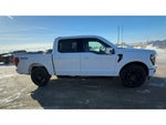 2025 F-150 Thumbnail 11