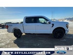 2025 F-150 Thumbnail 13