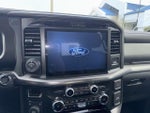 2025 F-150 Thumbnail 10