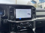 2025 F-150 Thumbnail 11