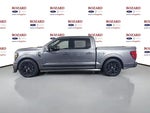 2025 F-150 Thumbnail 8