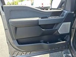 2024 F-150 Thumbnail 13