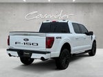 2024 F-150 Thumbnail 14