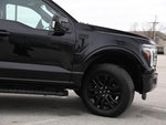 2025 F-150 Thumbnail 6