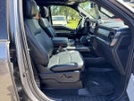2025 F-150 Thumbnail 15