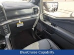 2025 F-150 Thumbnail 20