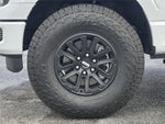 2026 F-150 Thumbnail 11