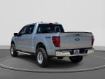 2024 F-150 Thumbnail 5