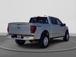 2024 F-150 Thumbnail 6