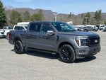 2025 F-150 Thumbnail 1