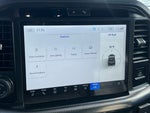 2025 F-150 Thumbnail 13