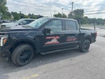 2025 F-150 Thumbnail 1