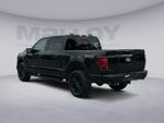 2025 F-150 Thumbnail 3