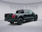 2025 F-150 Thumbnail 5