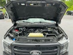 2025 F-150 Thumbnail 20