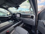 2025 F-150 Thumbnail 21